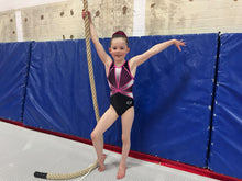 Load image into Gallery viewer, Carousel Leotard - Stag Gymnastics Leotards