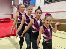 Load image into Gallery viewer, Carousel Leotard - Stag Gymnastics Leotards