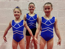 Load image into Gallery viewer, Cobalt Leotard - Stag Gymnastics Leotards
