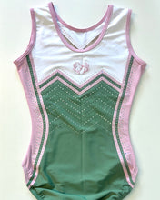 Load image into Gallery viewer, Khaki Blush Leotard - Stag Gymnastics Leotards
