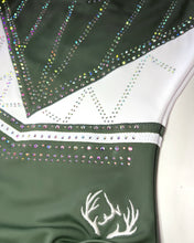 Load image into Gallery viewer, Sage Sparkle - Stag Gymnastics Leotards
