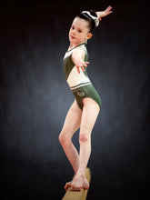 Load image into Gallery viewer, Sage Sparkle Leotard
