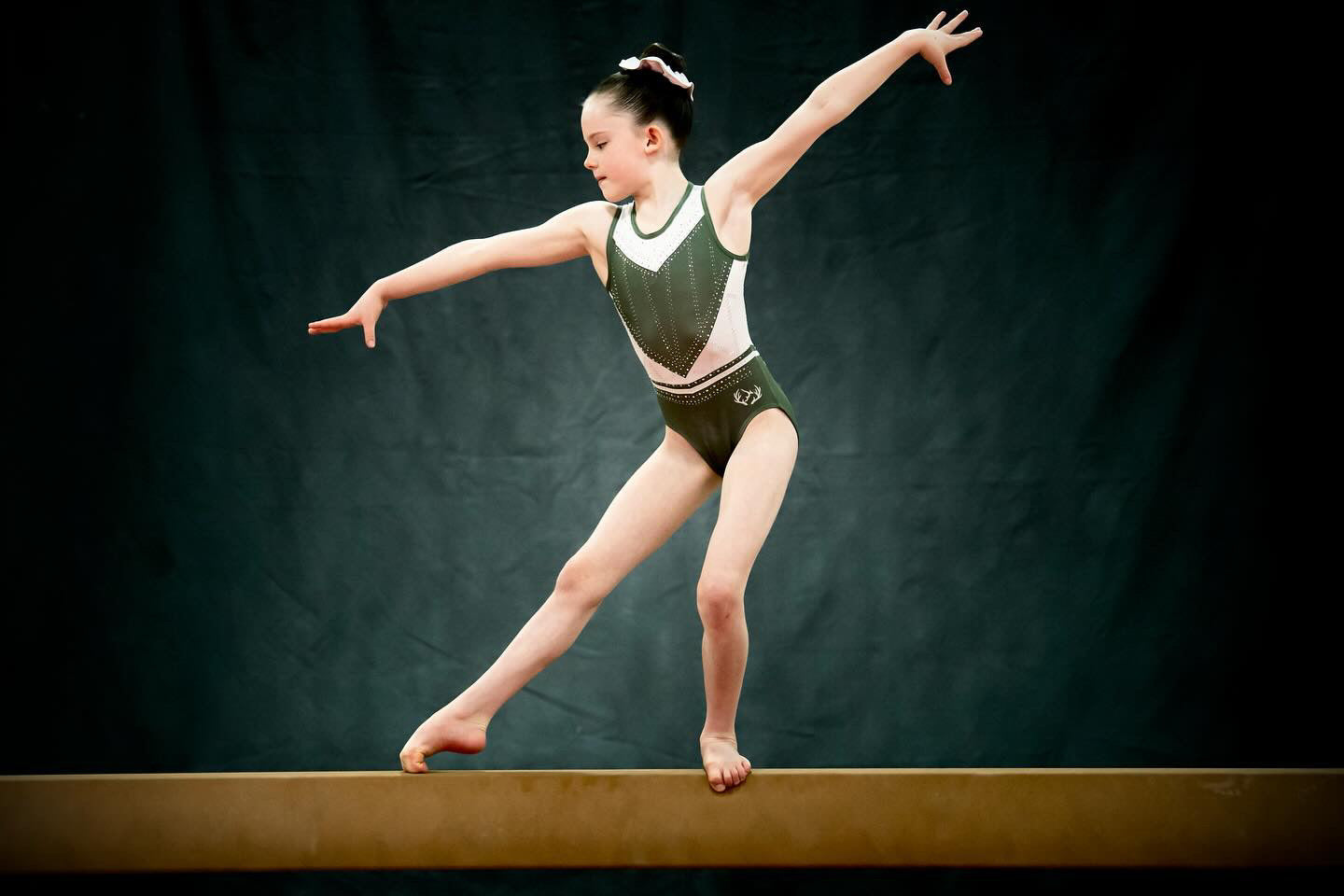 Sage Sparkle Leotard