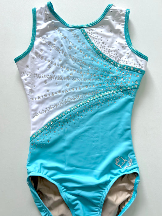 Sea glass leotard.