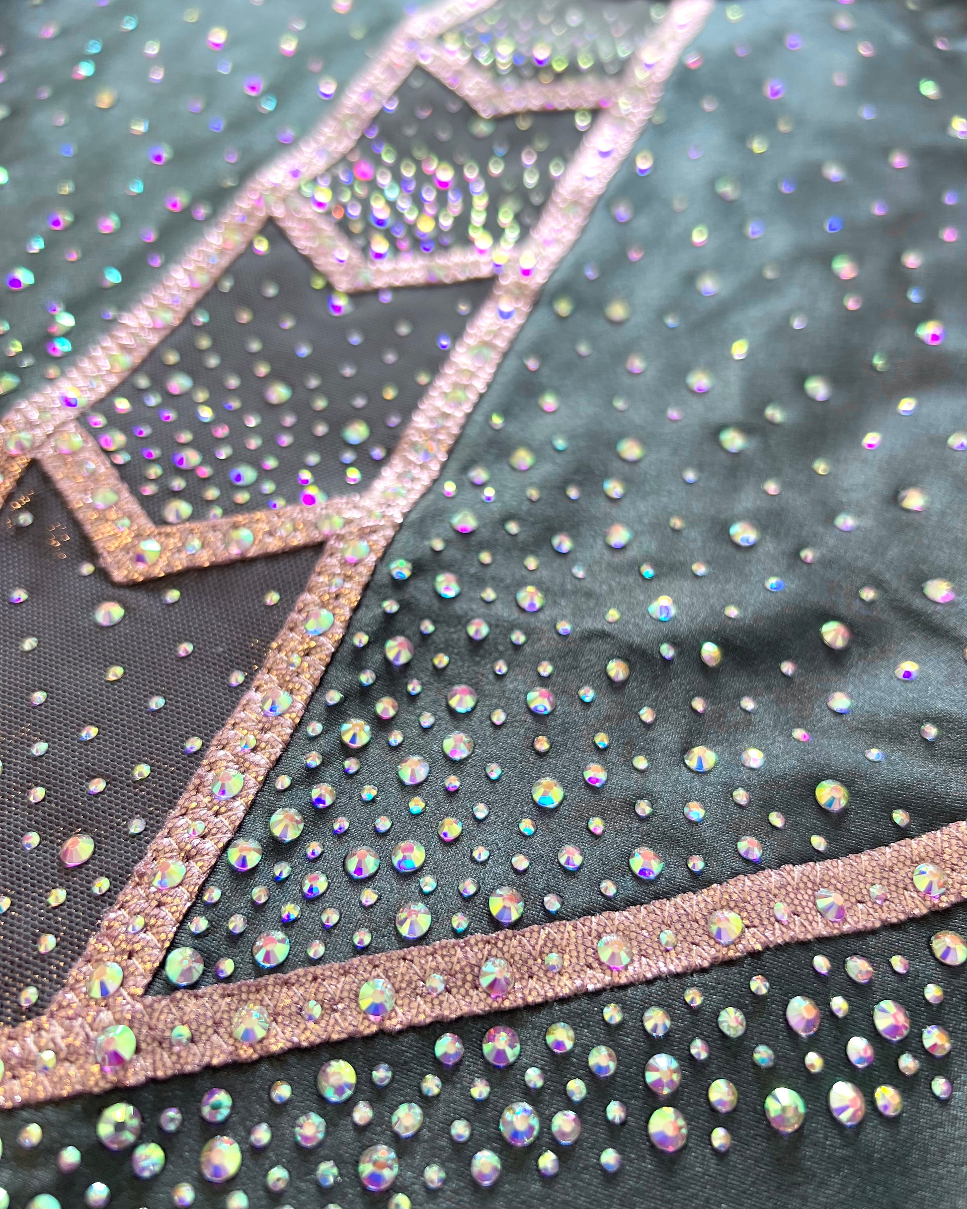 Sheffield Gymnastics School @ Forge Valley - Girl's Leotard - Stag Gymnastics Leotards